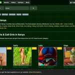 KenyaRaha.co.ke Review